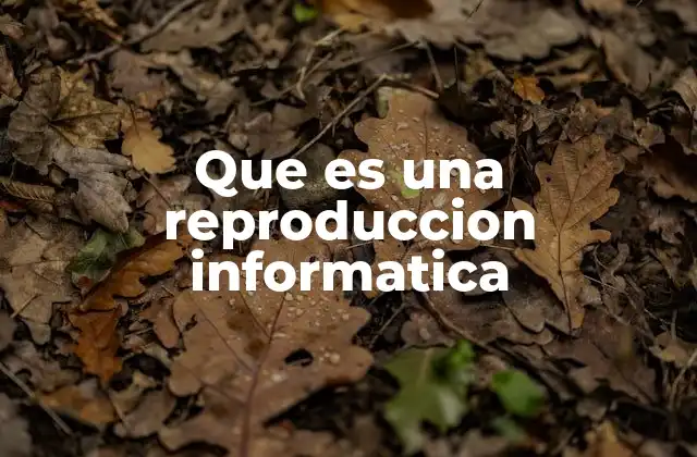 El papel de la duplicación digital en la gestión de datos