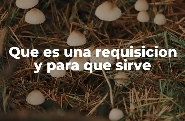 Que es una Requisicion y para que Sirve