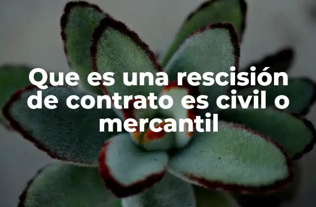 Que es una Rescisión de Contrato es Civil o Mercantil