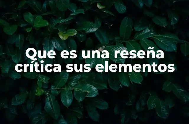 Que es una Reseña Crítica Sus Elementos