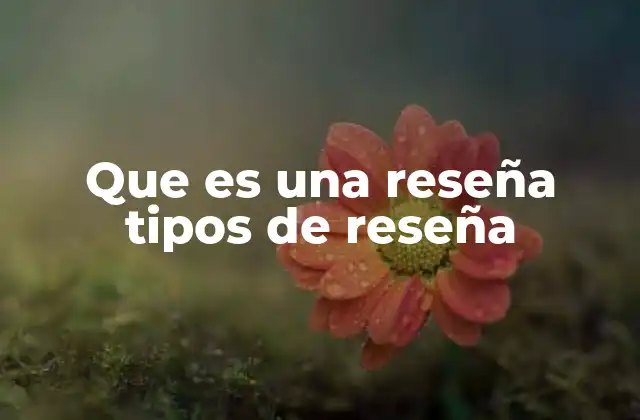 Que es una Reseña Tipos de Reseña