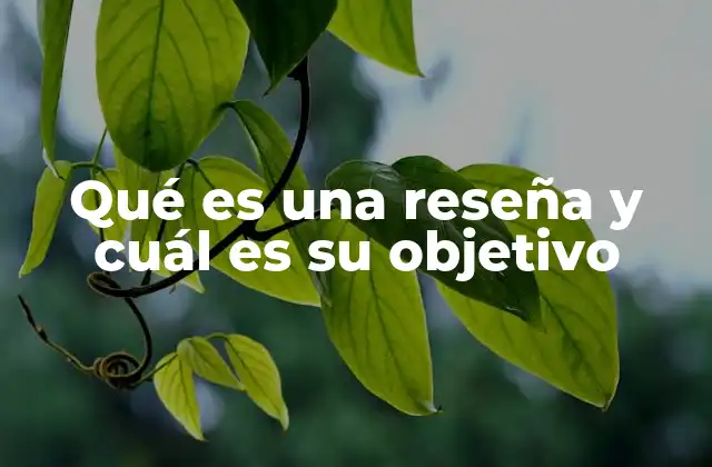 El rol de las reseñas en la toma de decisiones