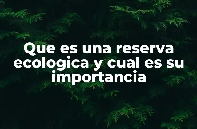 Que es una Reserva Ecologica y Cual es Su Importancia