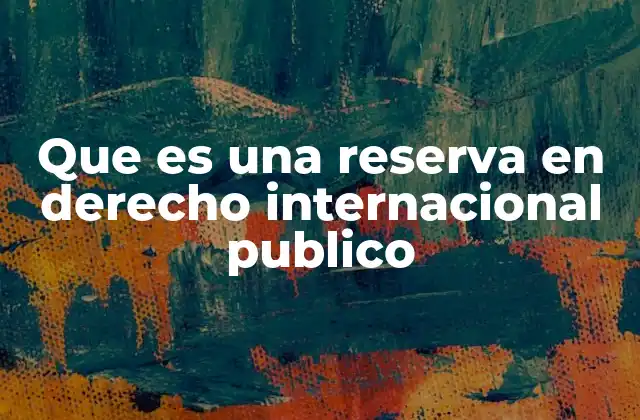 Que es una Reserva en Derecho Internacional Publico