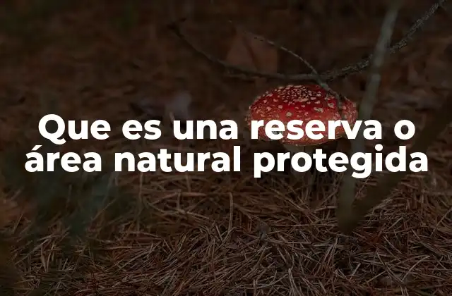 Que es una Reserva o Área Natural Protegida