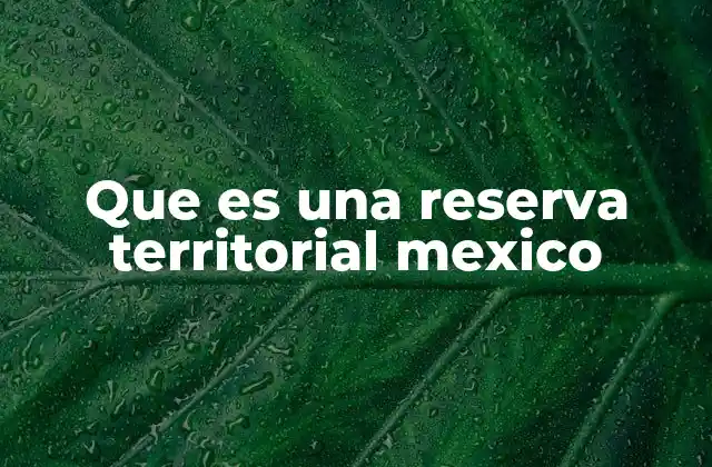 Que es una Reserva Territorial Mexico