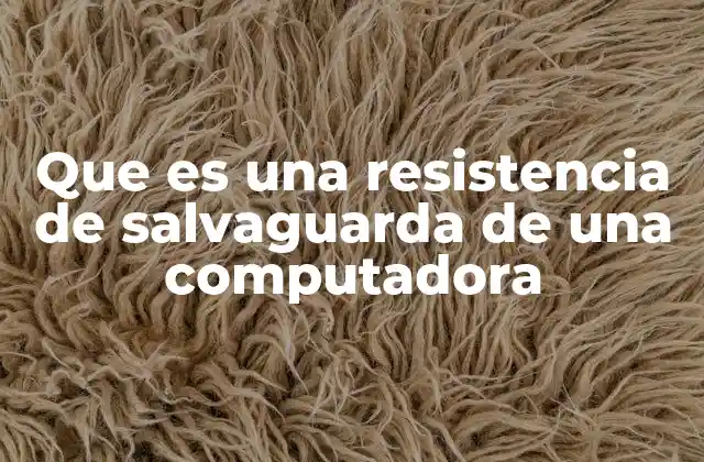 Que es una Resistencia de Salvaguarda de una Computadora 2 Funciones de los componentes de protección en una computadora