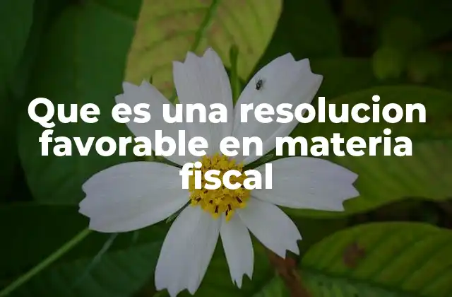 Que es una Resolucion Favorable en Materia Fiscal
