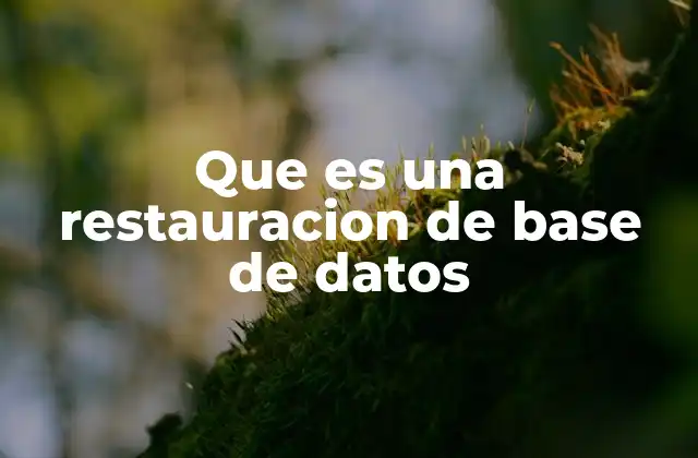 Que es una Restauracion de Base de Datos