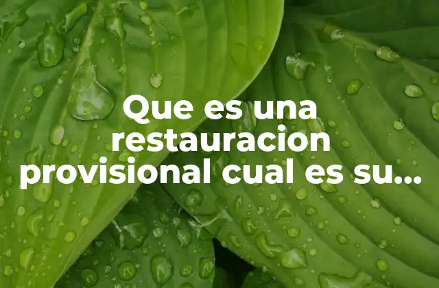Que es una Restauracion Provisional Cual es Su Objetivo