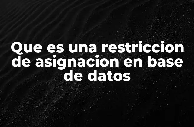 Que es una Restriccion de Asignacion en Base de Datos