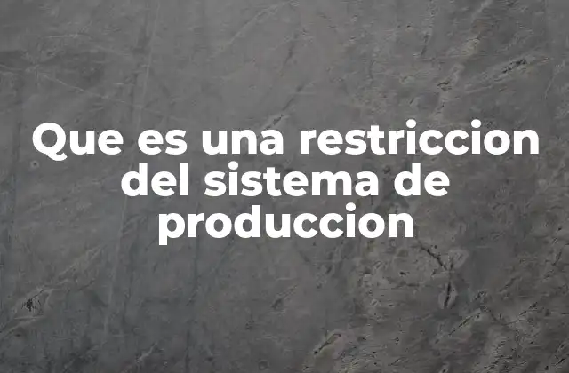 Que es una Restriccion Del Sistema de Produccion