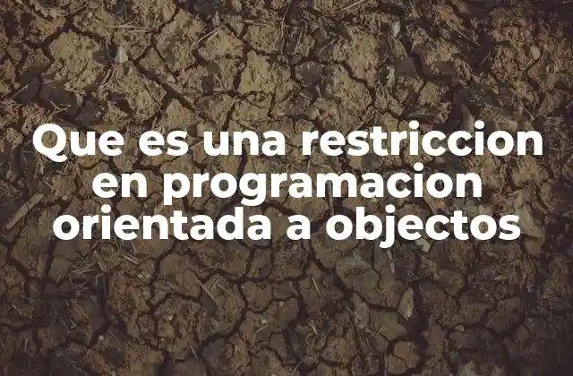 Que es una Restriccion en Programacion Orientada a Objectos 2 Cómo las restricciones protegen la integridad del código