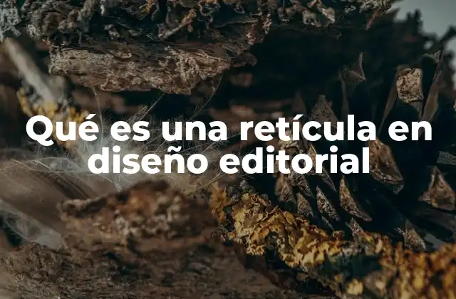 La importancia de la estructura visual en el diseño editorial
