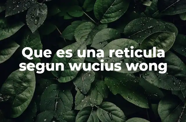 Que es una Reticula Segun Wucius Wong