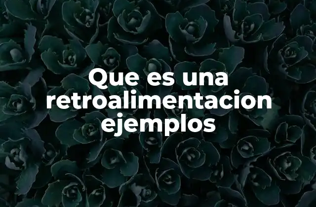Que es una Retroalimentacion Ejemplos