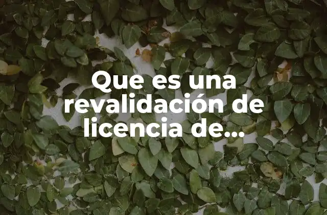 Que es una Revalidación de Licencia de Funcionamiento en Toluca