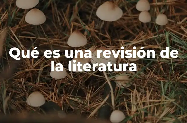 Qué es una Revisión de la Literatura