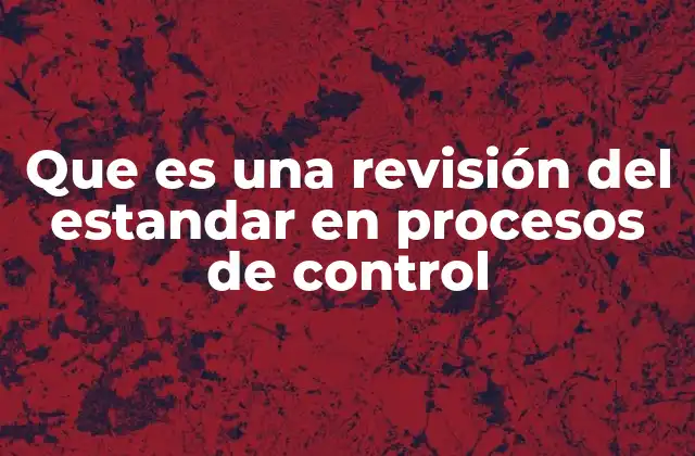 Que es una Revisión Del Estandar en Procesos de Control