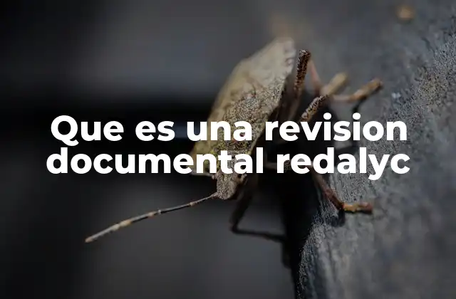 Que es una Revision Documental Redalyc
