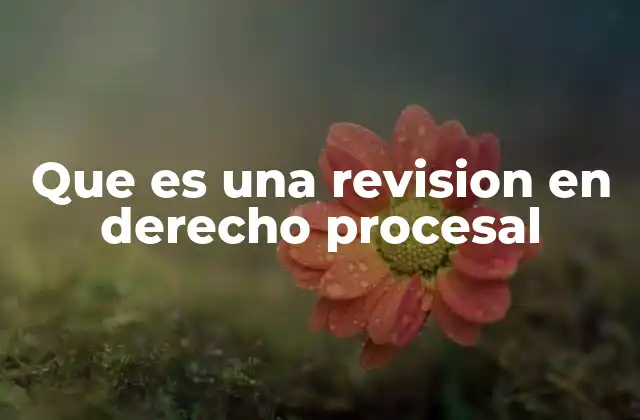Que es una Revision en Derecho Procesal