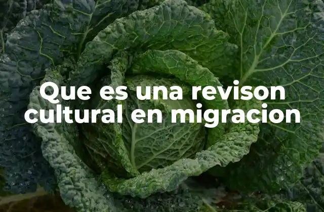 La importancia de comprender la cultura en procesos de migración