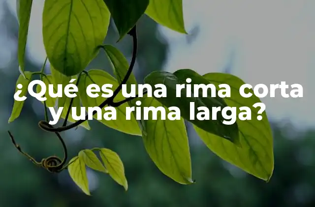 ¿qué es una Rima Corta y una Rima Larga?