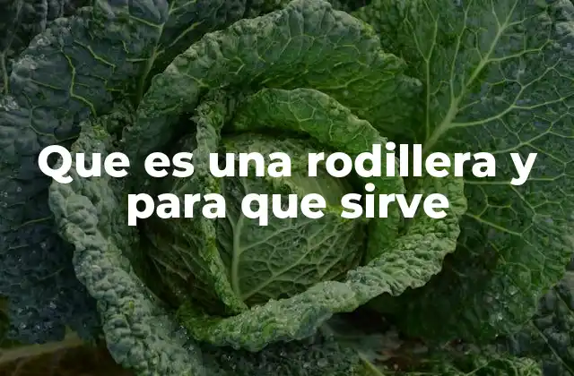 Que es una Rodillera y para que Sirve