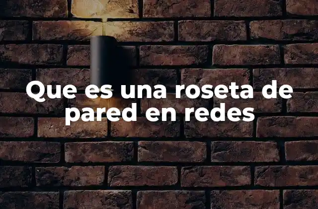 Que es una Roseta de Pared en Redes