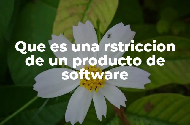 Que es una Rstriccion de un Producto de Software 2 Cómo las restricciones afectan la experiencia del usuario