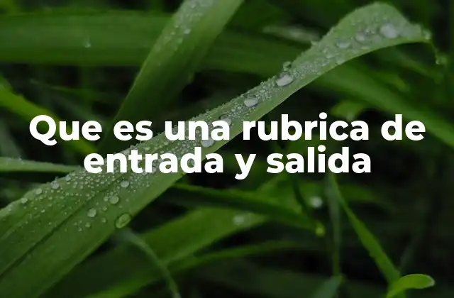 Que es una Rubrica de Entrada y Salida
