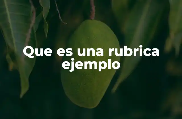Que es una Rubrica Ejemplo