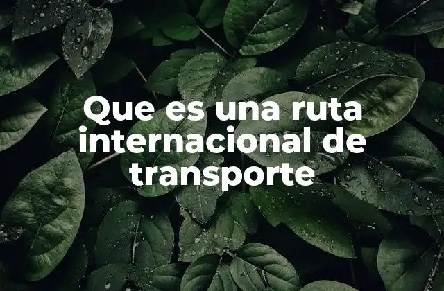Que es una Ruta Internacional de Transporte