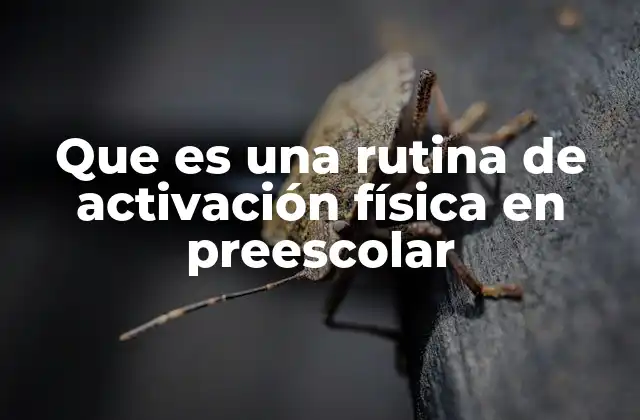 Que es una Rutina de Activación Física en Preescolar