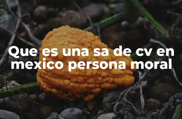 Que es una Sa de Cv en Mexico Persona Moral