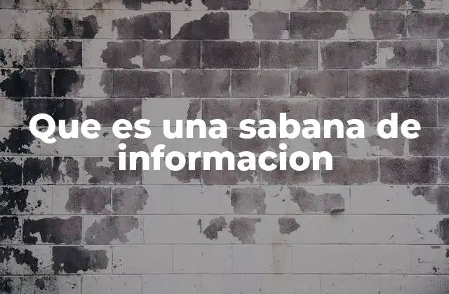 Que es una Sabana de Informacion