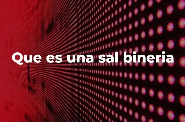Que es una Sal Bineria