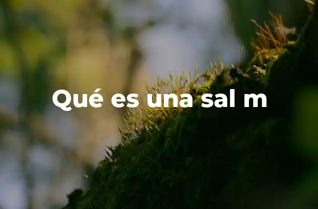 Qué es una Sal M