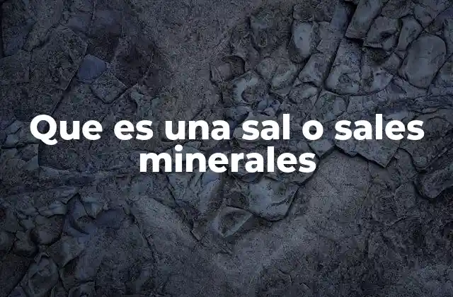 Que es una Sal o Sales Minerales