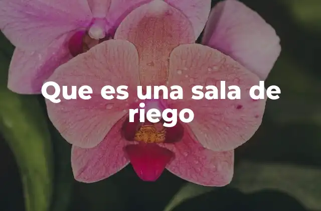 Que es una Sala de Riego