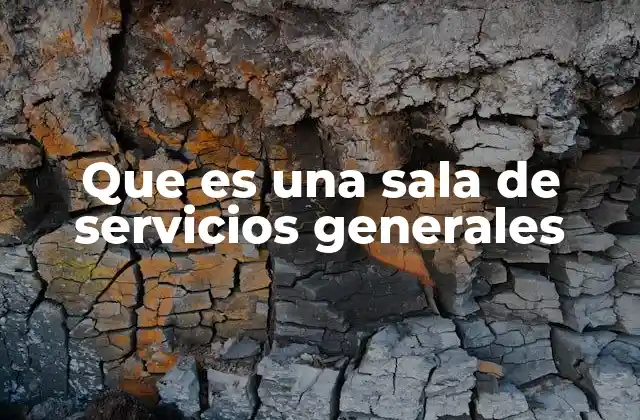 Que es una Sala de Servicios Generales