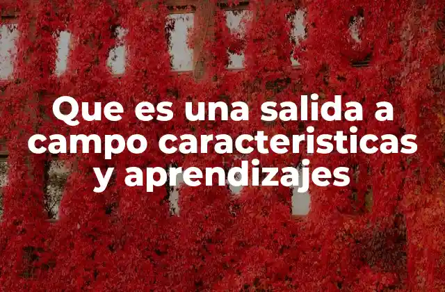 Que es una Salida a Campo Caracteristicas y Aprendizajes