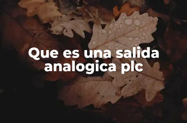 Que es una Salida Analogica Plc