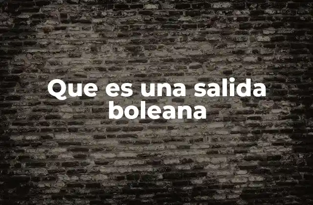 Que es una Salida Boleana