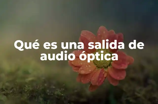 Qué es una Salida de Audio Óptica
