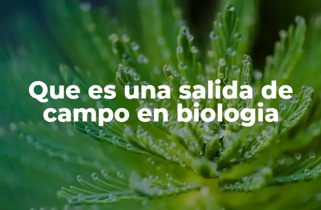 Que es una Salida de Campo en Biologia 2 La importancia de las salidas de campo en la formación científica