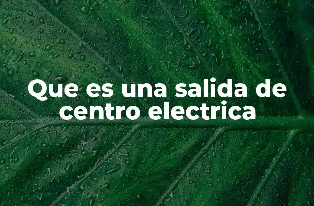 Que es una Salida de Centro Electrica