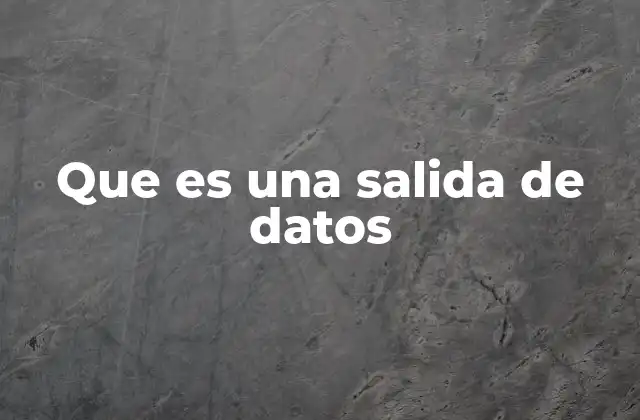 Que es una Salida de Datos