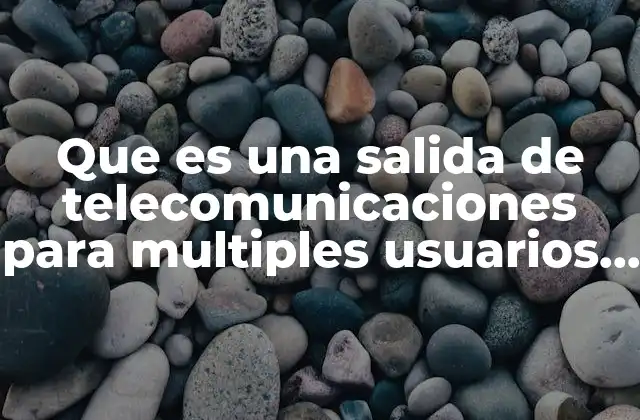 Que es una Salida de Telecomunicaciones para Multiples Usuarios Muto