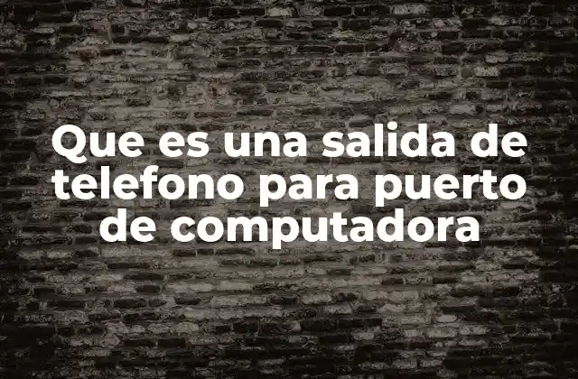 Que es una Salida de Telefono para Puerto de Computadora